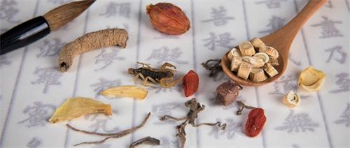 石家莊工商職業(yè)學(xué)院護(hù)理學(xué)院怎么樣?值得報(bào)考嗎? 石家莊工商職業(yè)學(xué)院護(hù)理學(xué)院怎么樣?值得報(bào)考嗎?