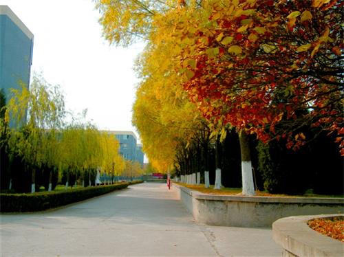 北京現(xiàn)代體育學(xué)院、航空乘務(wù)學(xué)院環(huán)境好不好? 北京現(xiàn)代體育學(xué)院、航空乘務(wù)學(xué)院環(huán)境好不好?