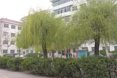 商務禮儀好學嗎? 商務禮儀好學嗎?