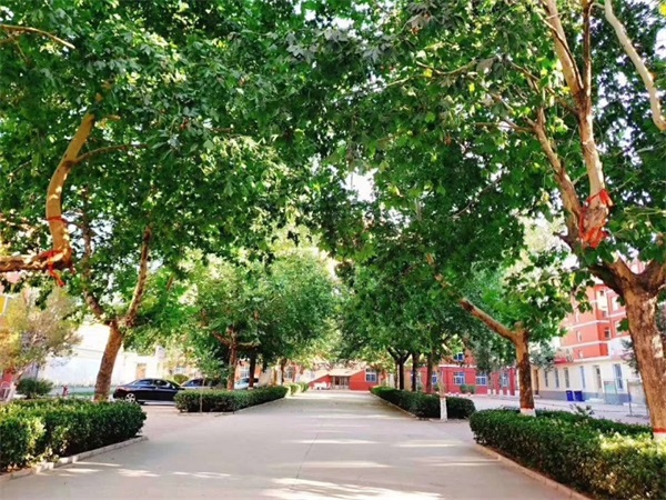 石家莊同創鐵路運輸學校有何優勢?如何報考這所學校? 石家莊同創鐵路運輸學校有何優勢?如何報考這所學校?