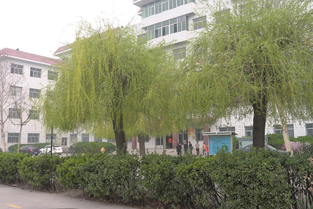保定育德中等專業(yè)學(xué)校招收往屆畢業(yè)生嗎? 保定育德中等專業(yè)學(xué)校招收往屆畢業(yè)生嗎?