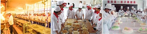 唐山九州技校開設了哪些專業? 唐山九州技校開設了哪些專業?
