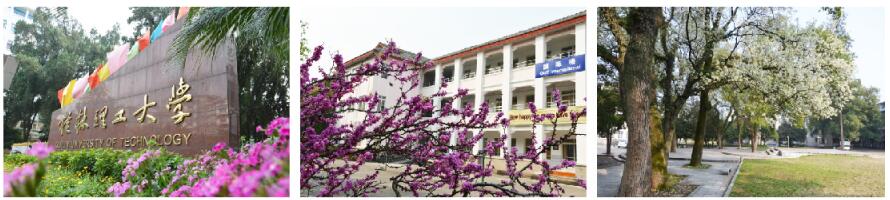 桂林理工大學繼續教育學院如何報名? 桂林理工大學繼續教育學院如何報名?